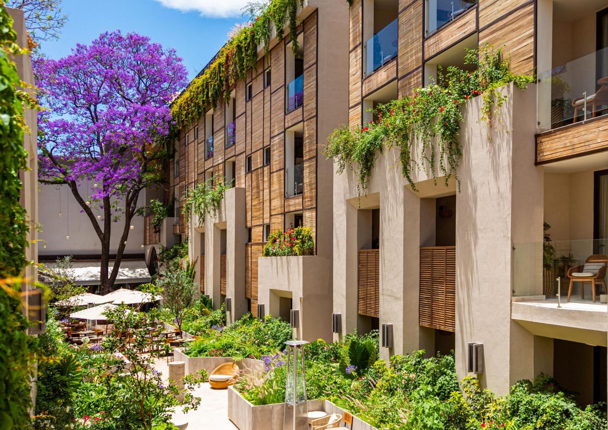 Numu Boutique Hotel, The Unbound Collection By Hyatt Σαν Μιγκέλ ντε Αγιέντε Εξωτερικό φωτογραφία