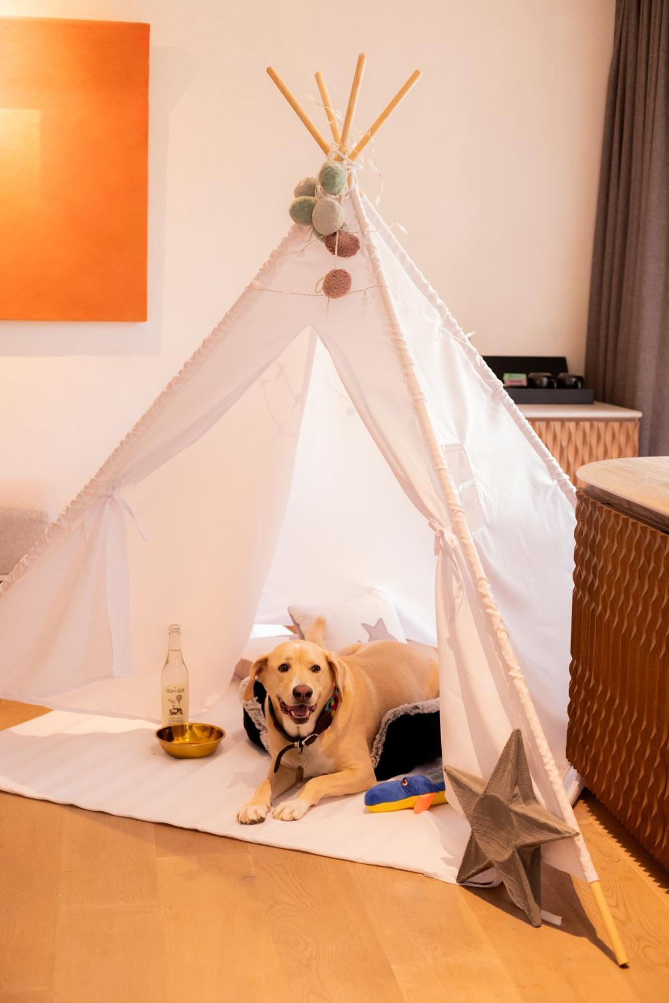 Numu Boutique Hotel, The Unbound Collection By Hyatt Σαν Μιγκέλ ντε Αγιέντε Εξωτερικό φωτογραφία